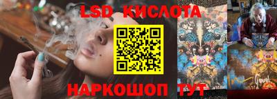 спиды Моздок