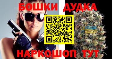 спиды Моздок