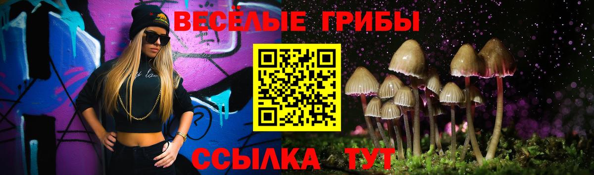закладка  Вход с VPN  Галлюциногенные грибы мухоморы  Бирск  Псилоцибиновые грибы мухоморы 