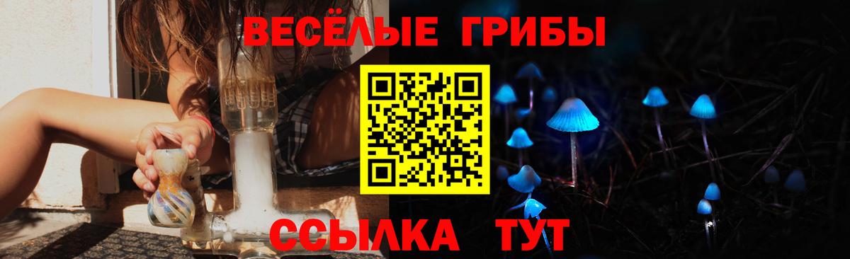 Галлюциногенные грибы Cubensis Бирск